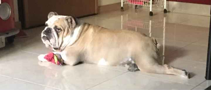 Scelta del nome! - 1