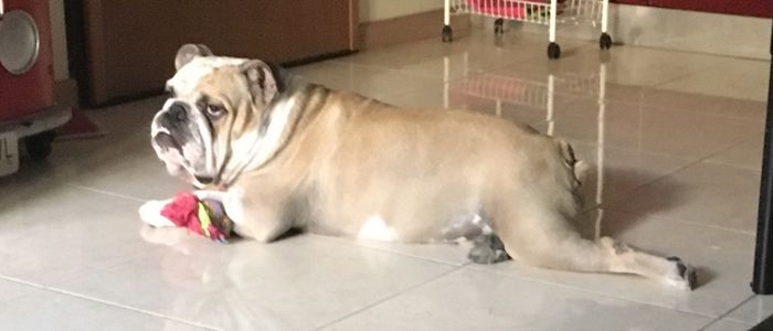 Scelta del nome! - 1