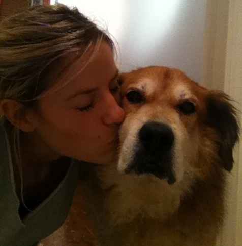 Too cute: i vostri amici animali - 2