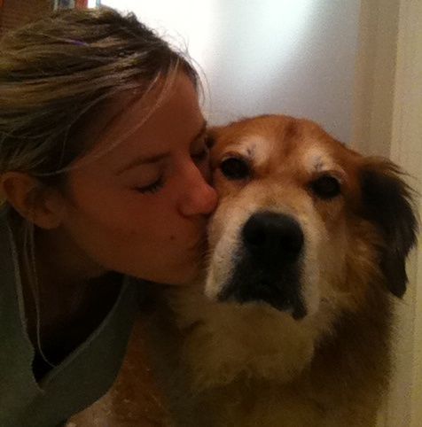 Too cute: i vostri amici animali - 2