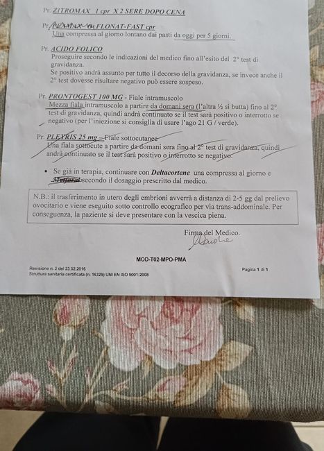 PMA 2024/2025 2