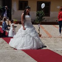 Pipì con l'abito nuziale - 1