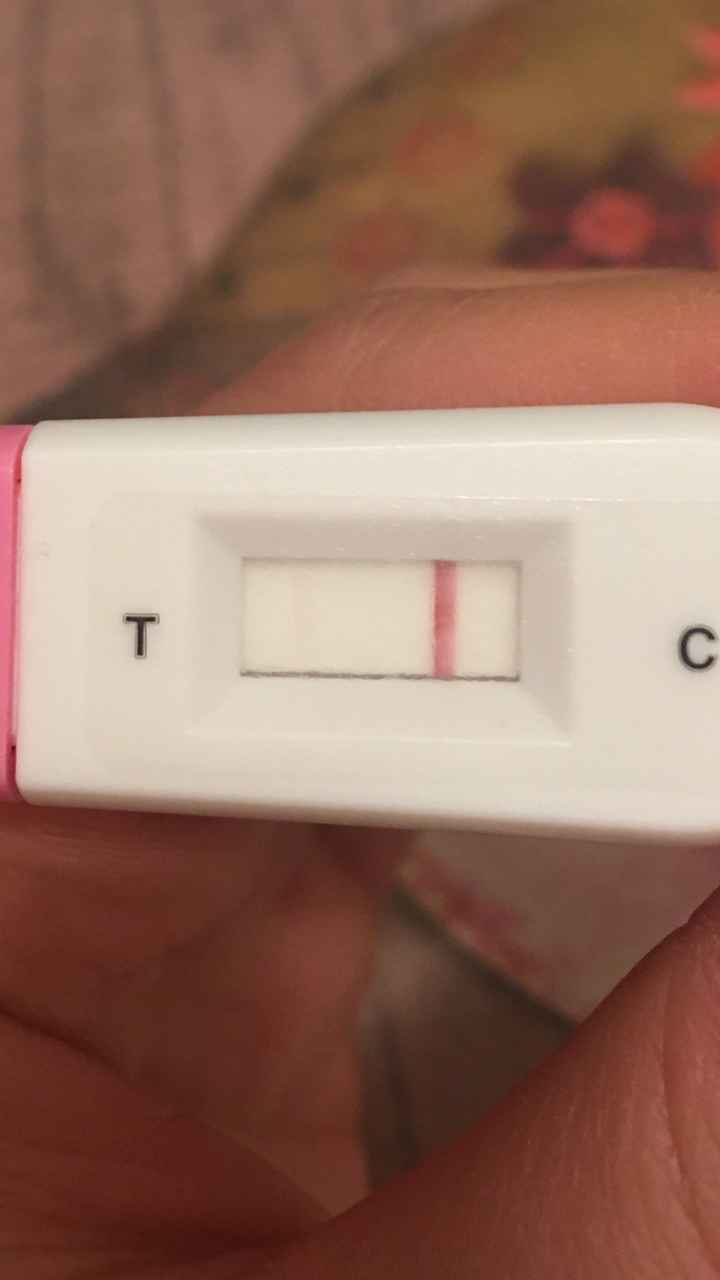 Non ci capisco niente... - 1