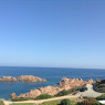 Eleonora