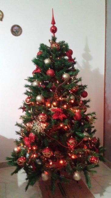 Pubblichiamo la foto dei nostri alberi!! ;) - 1