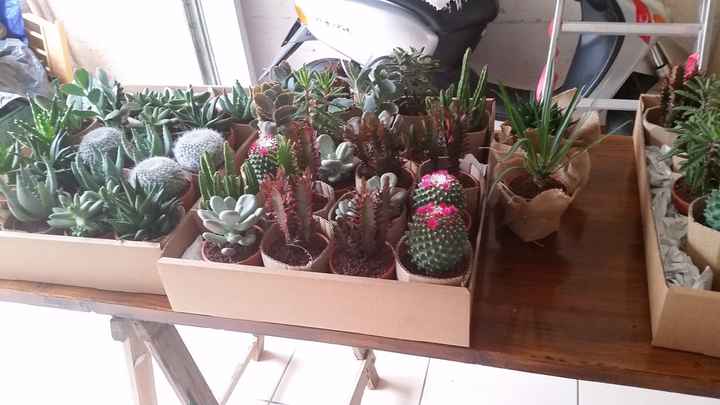 Aiutino:.. Ragazze mi serve un consiglio per le bomboniere tema natura.. - 1