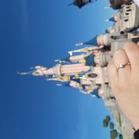 Proposta... C'è stata? - 1