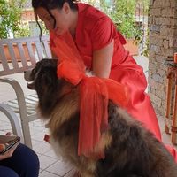 7/9/2019 ce l'abbiamo fatta anche noi!!!! - 1