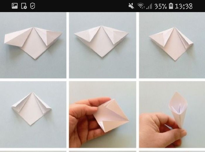 Fiori porta riso - 1