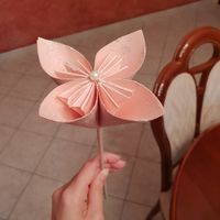 Fiori porta riso - 3