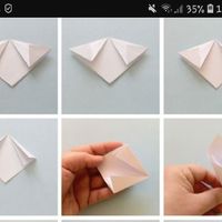 Fiori porta riso - 1