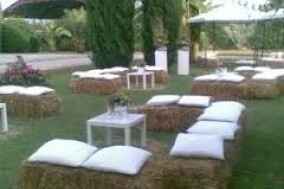 Ragazza di campagna - 1