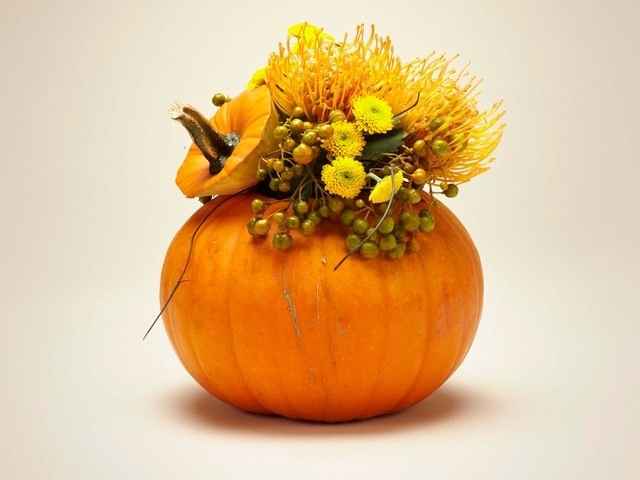 Fiori e zucca