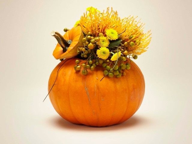 Fiori e zucca