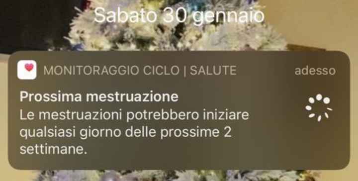 Chi non le aspetta per febbraio 2021 🤞🏼♥️🐣 2