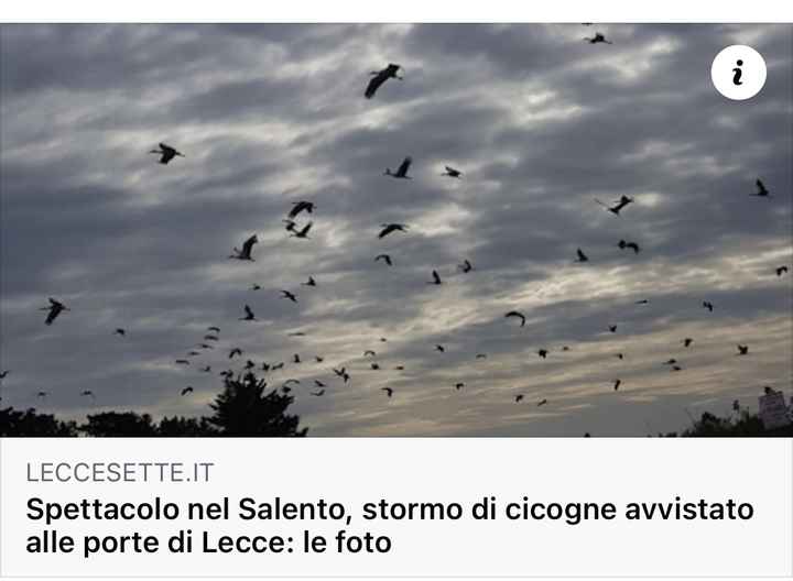 chi non le aspetta per aprile 2021😎❤️🤞❤️🍀 - 1