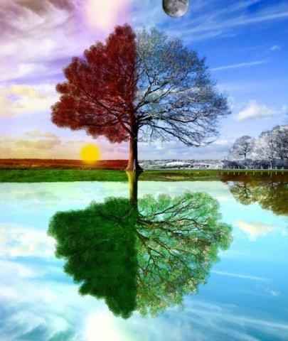 Aiutino!!!tema nozze!!!!!! - 1