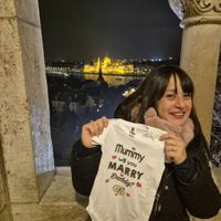 Chi ha fatto la proposta? - 1