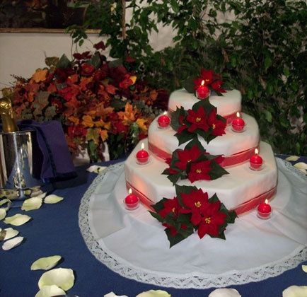 DECORAZIONI NUZIALI MATRIMONIO - invernale/natalizio - torta nuziale 5