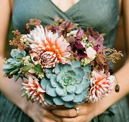 il bouquet della sposa, piante grasse 11