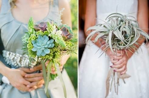 il bouquet della sposa, piante grasse 12