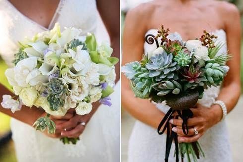 il bouquet della sposa, piante grasse 15