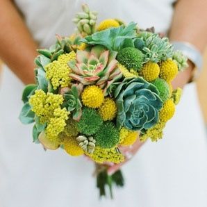 il bouquet della sposa, piante grasse 21