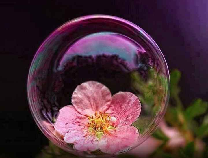 pensiero d'amore del giorno - 127