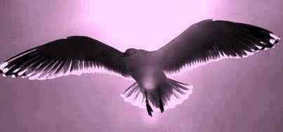 pensiero d'amore del giorno - 134