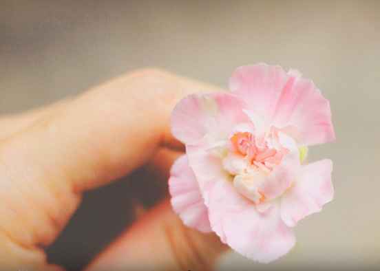 pensiero d'amore del giorno - 135