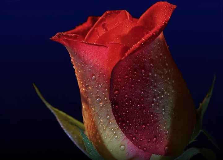 pensiero d'amore del giorno - 152