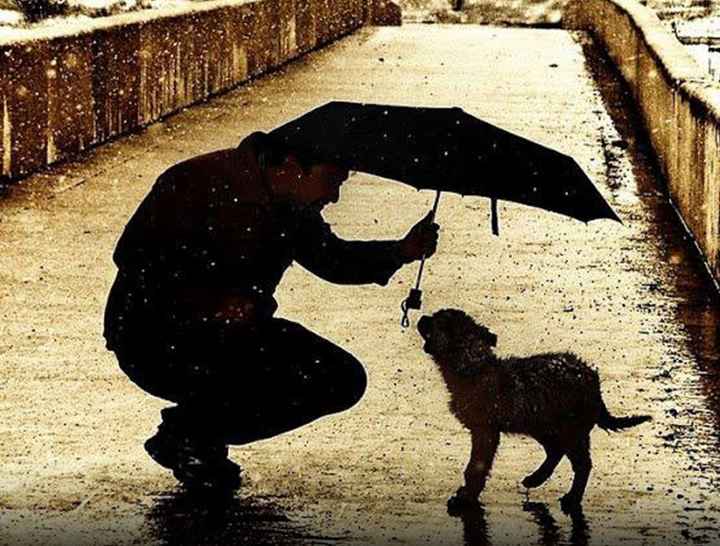 pensiero d'amore del giorno - 152