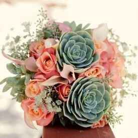 il bouquet della sposa, piante grasse 