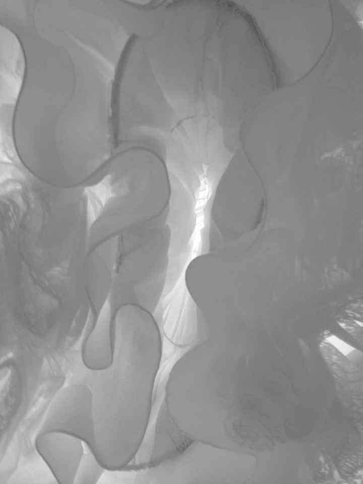 Il reportage delle mie nozze: il mio abito a casa 6