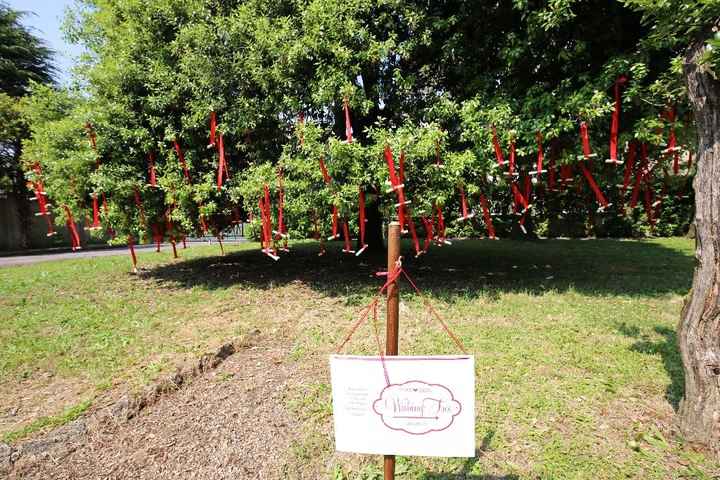 Il reportage delle mie nozze - WISHING TREE 1