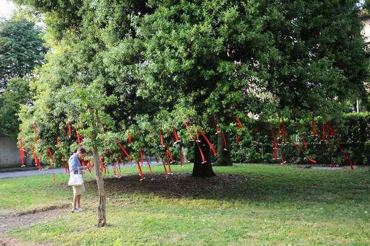 Il reportage delle mie nozze - WISHING TREE 2