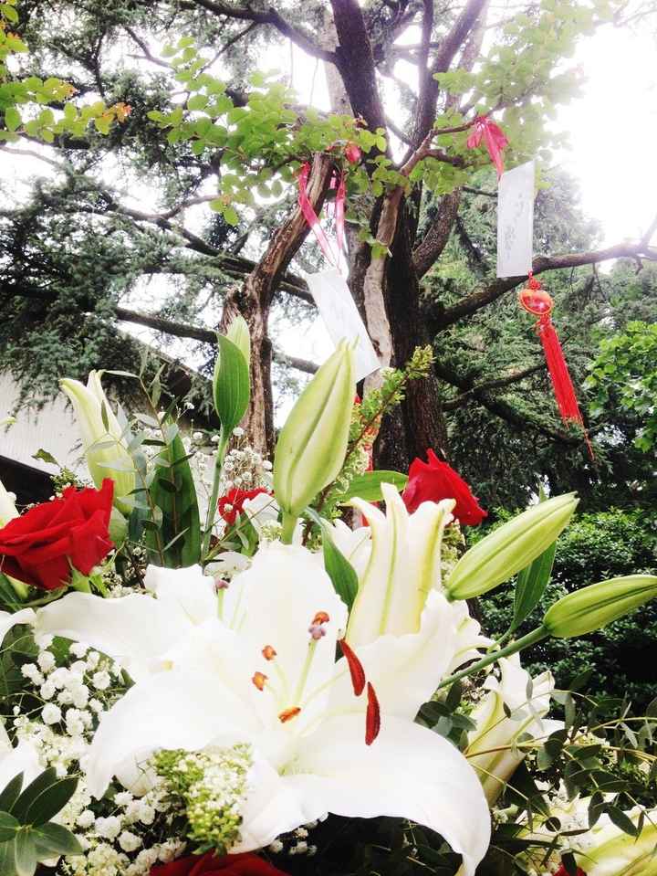 IL REPORTAGE DELLE NOSTRE NOZZE - TABLEAU DE MARRIAGE