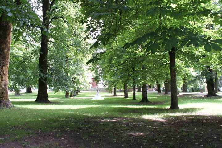 TRASH THE DRESS - LOVE THE DRESS  - park of love 1