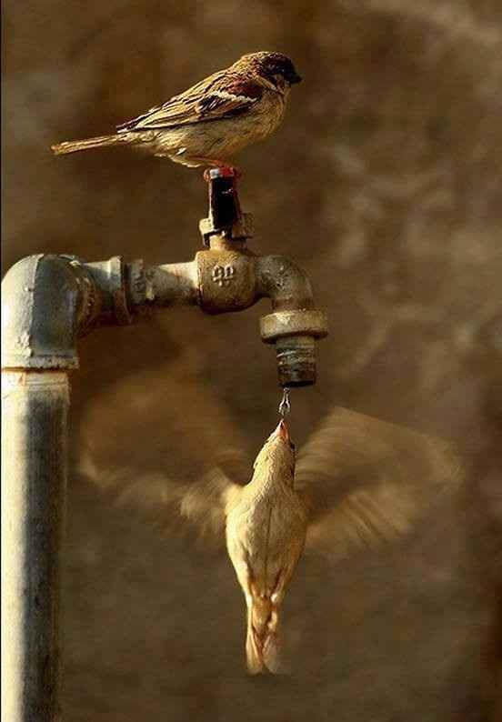 Pensiero d'amore del giorno ... 193