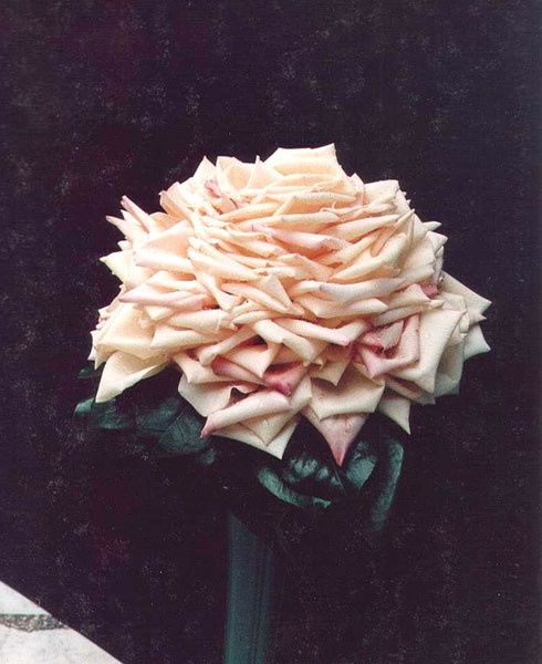 Bouquet sposa monofiore, one flower bouquet 12