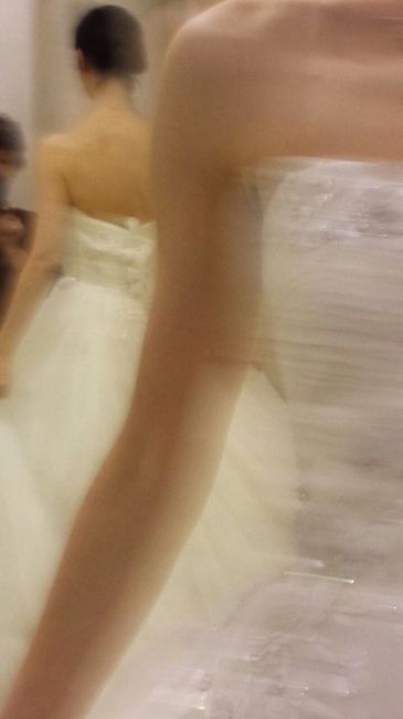 il reportage delle mie nozze , Pronovias 2