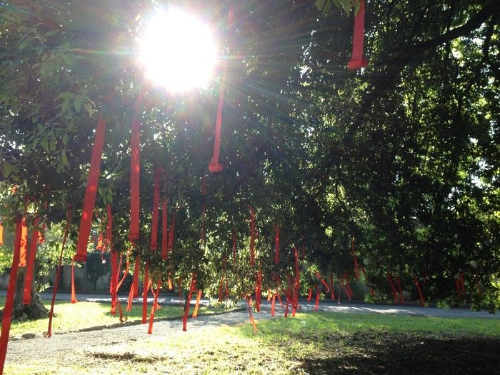 Il reportage delle mie nozze - WISHING TREE