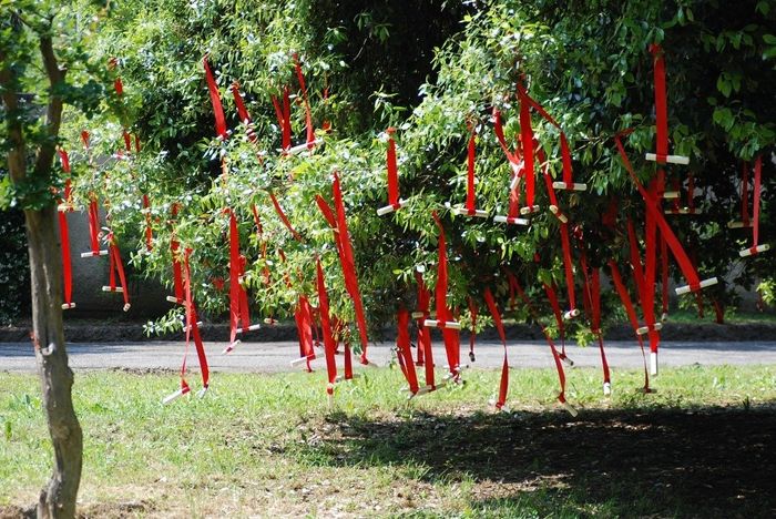 IL REPORTAGE DELLE MIE NOZZE - wHISING TREE