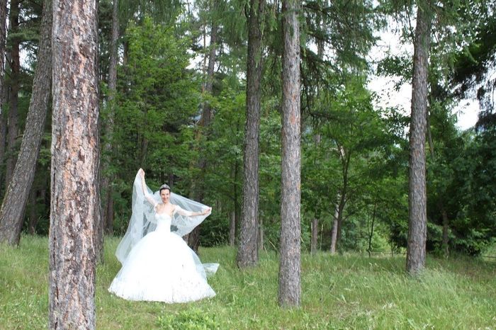 TRASH THE DRESS - LOVE THE DRESS  - woods of love 1