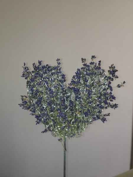 Le mie partecipazioni , uno dei centri tavola , segnaposto - 2