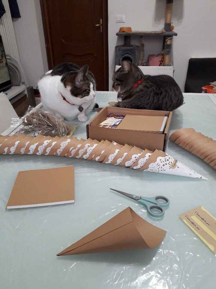 Collaboratori pelosi ❤️ - 1