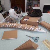 Collaboratori pelosi ❤️ - 1