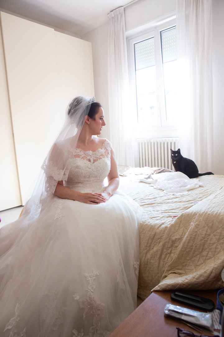 Problema velo + acconciatura - 1