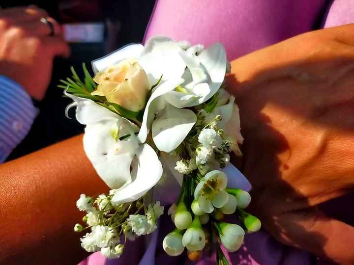 Damigelle, che fare?! - 1