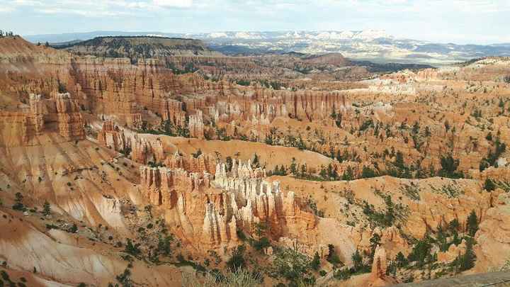 Siamo a metà del nostro viaggio!! - 6